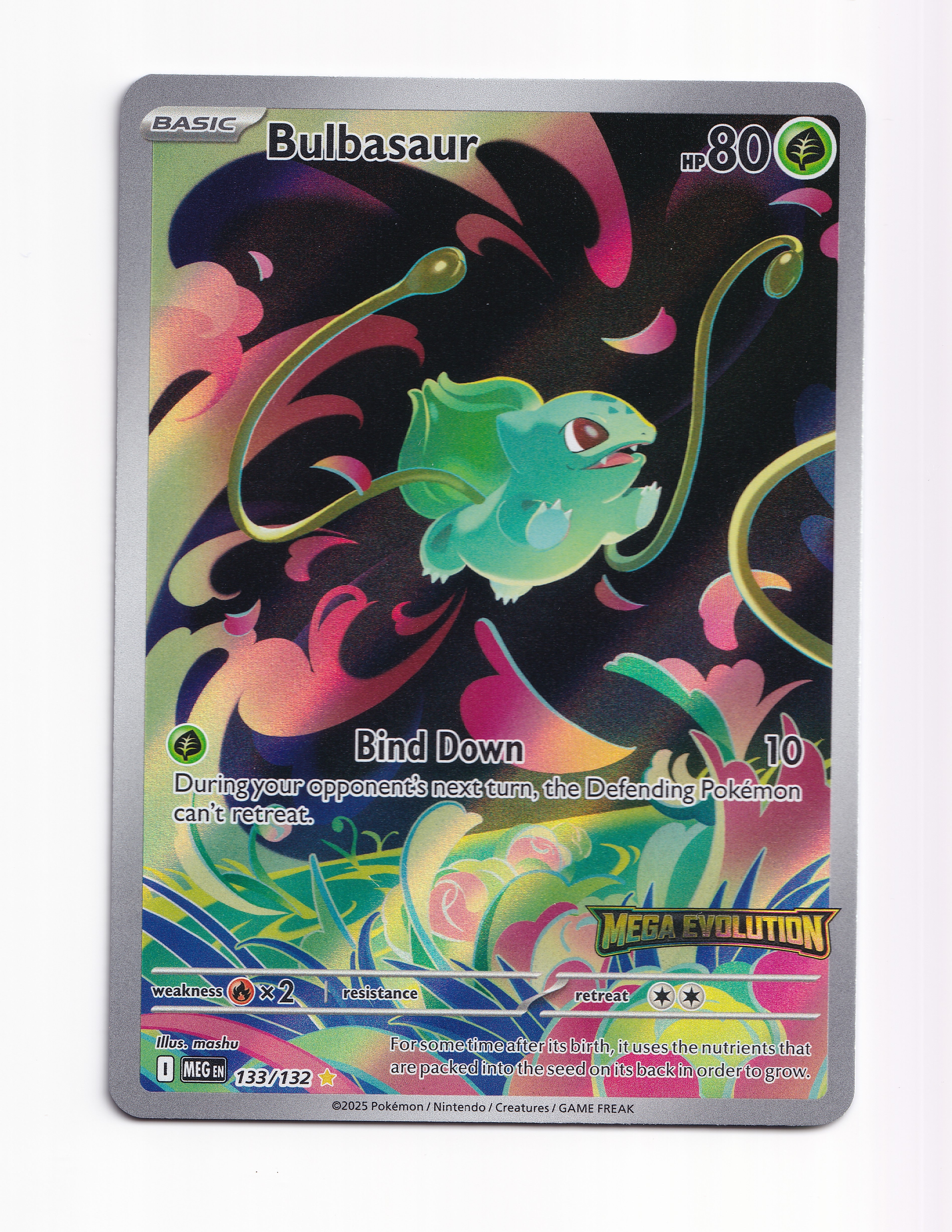Bulbasaur - foto real del ejemplar 2 (frontal)