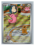 Chansey - foto real del ejemplar (frontal)