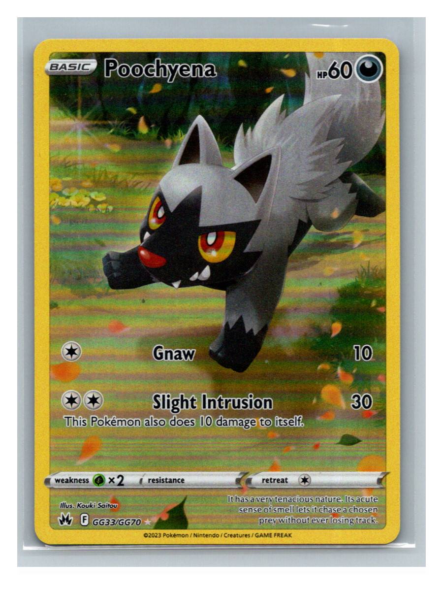 Poochyena (Galarian Gallery) - foto real del ejemplar (frontal)