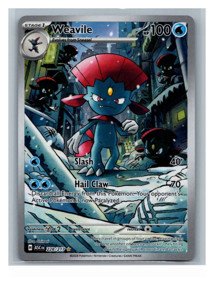 Weavile - foto real del ejemplar (frontal)