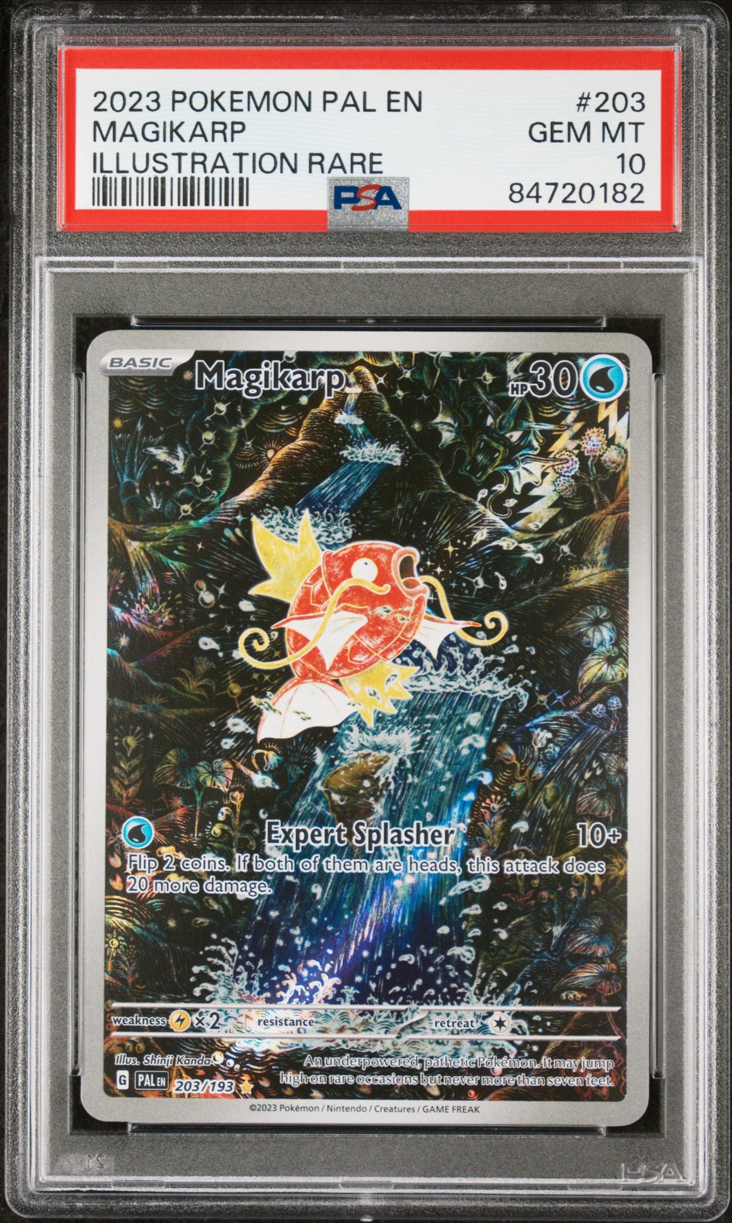 Magikarp - Paldea Evolved (203/193) [Slab] - Frontal